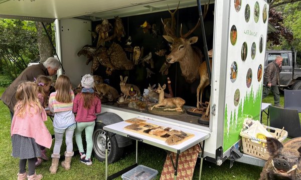 Ein offener Anhänger zeigt ausgestopfte Tiere, während mehrere Kinder neugierig davor stehen. Der Anhänger steht auf einer grünen Wiese, umgeben von Bäumen. Text: "WER BIN ICH?"