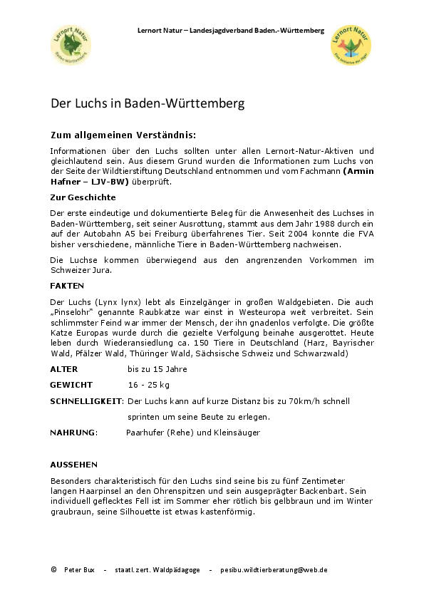 pdf-preview